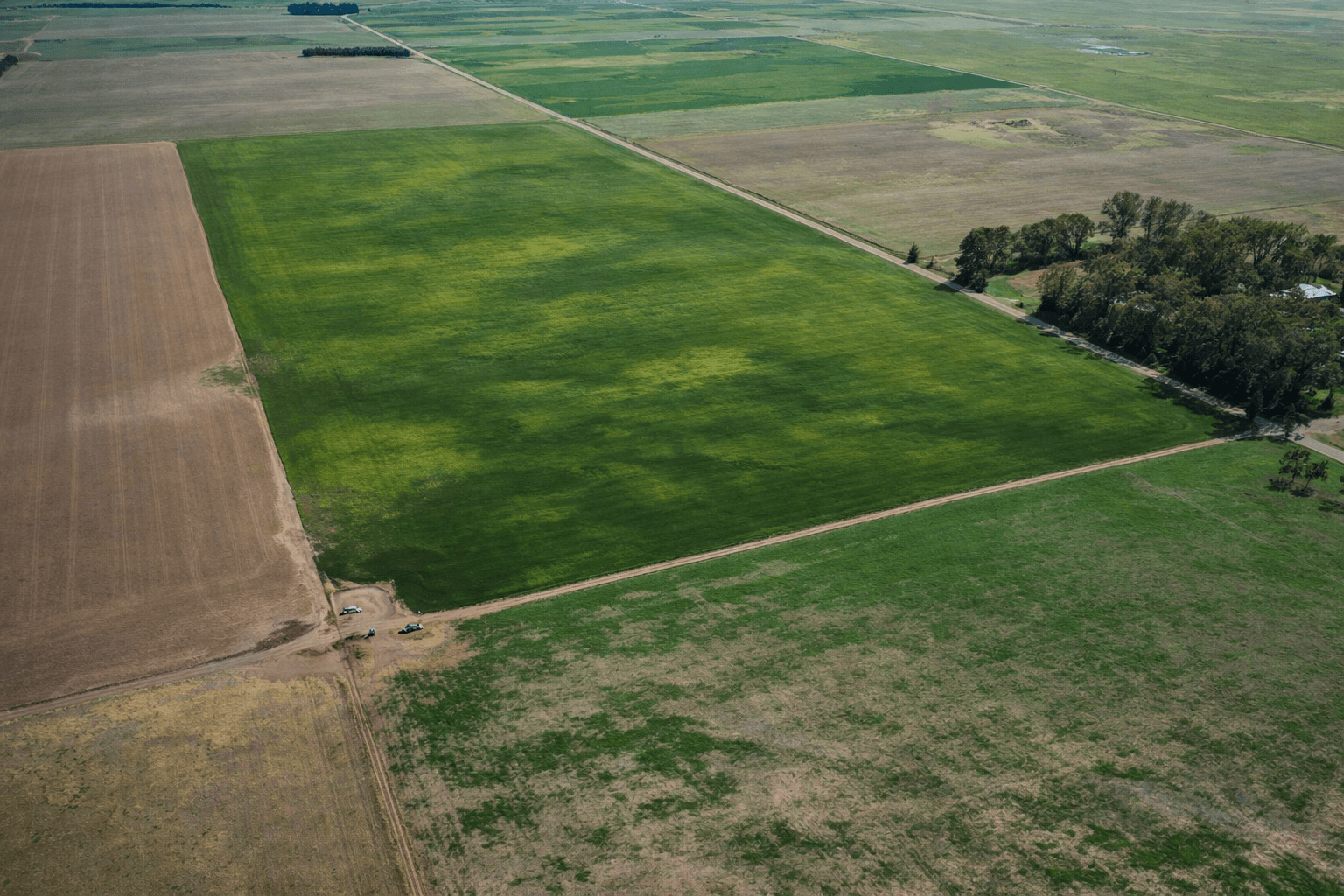 Recorrido de campo productivo en actividad