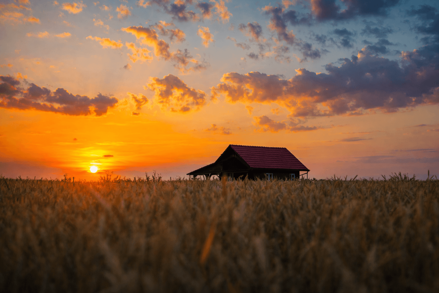 Casco de campo y recorrido del productor