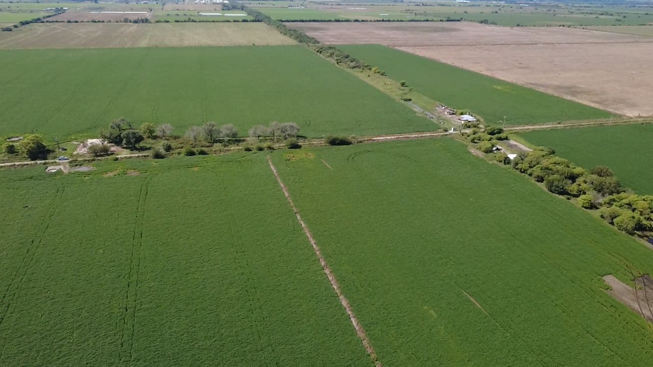 Agrícola Este foto 2