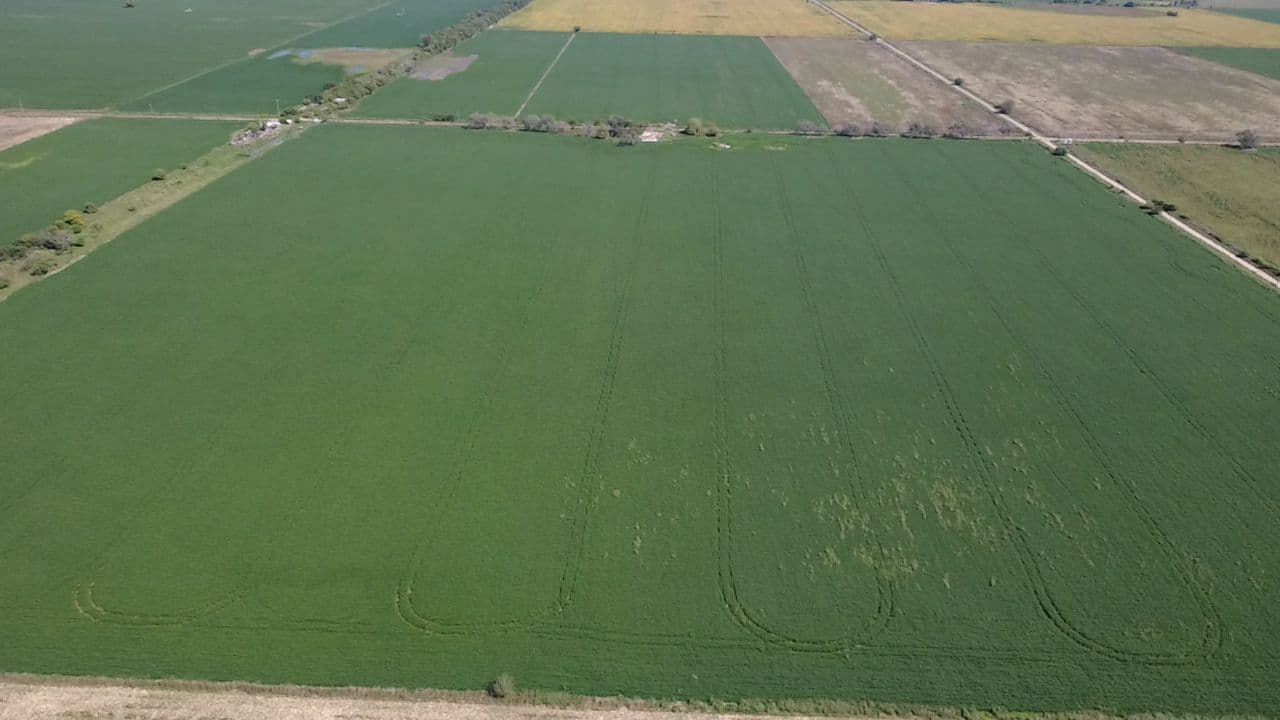 Agrícola Este foto 3