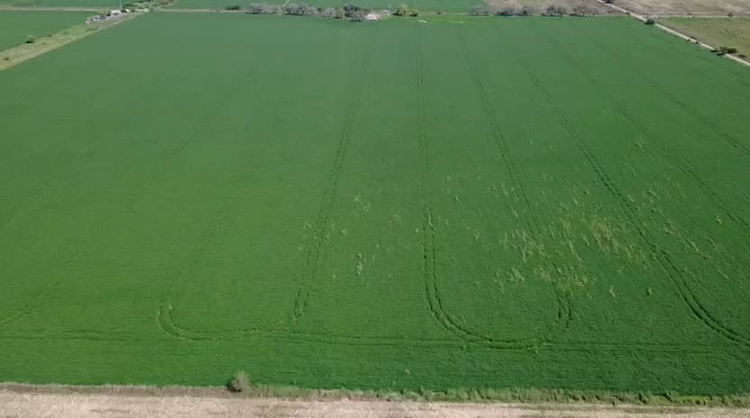 Registro aéreo del proyecto.