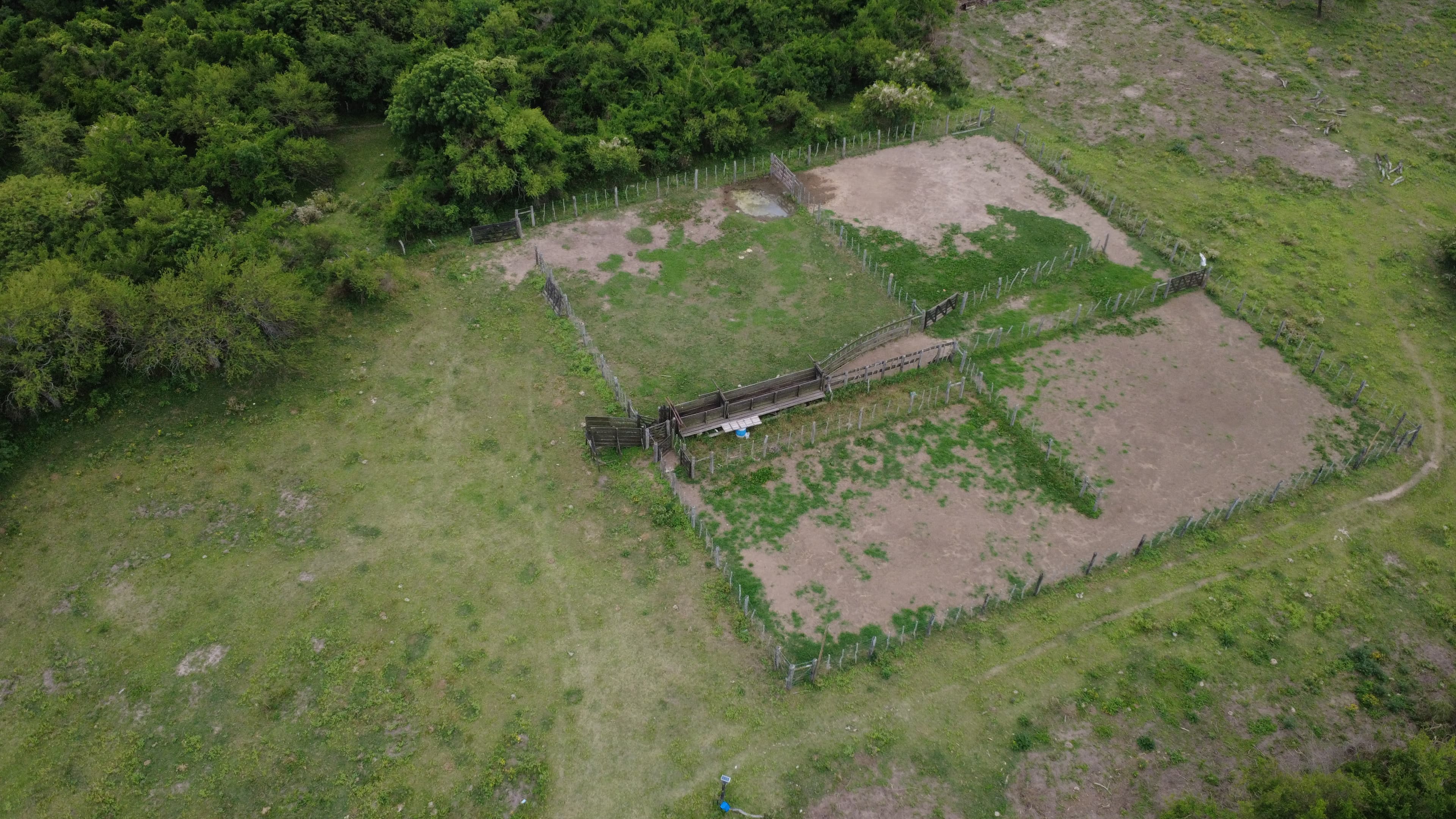 Colonia Teresa foto 3