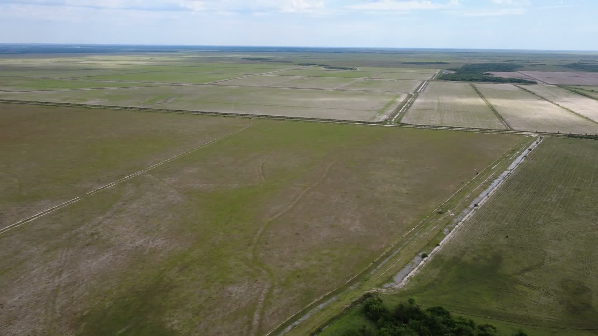 Recorrido aéreo del establecimiento.