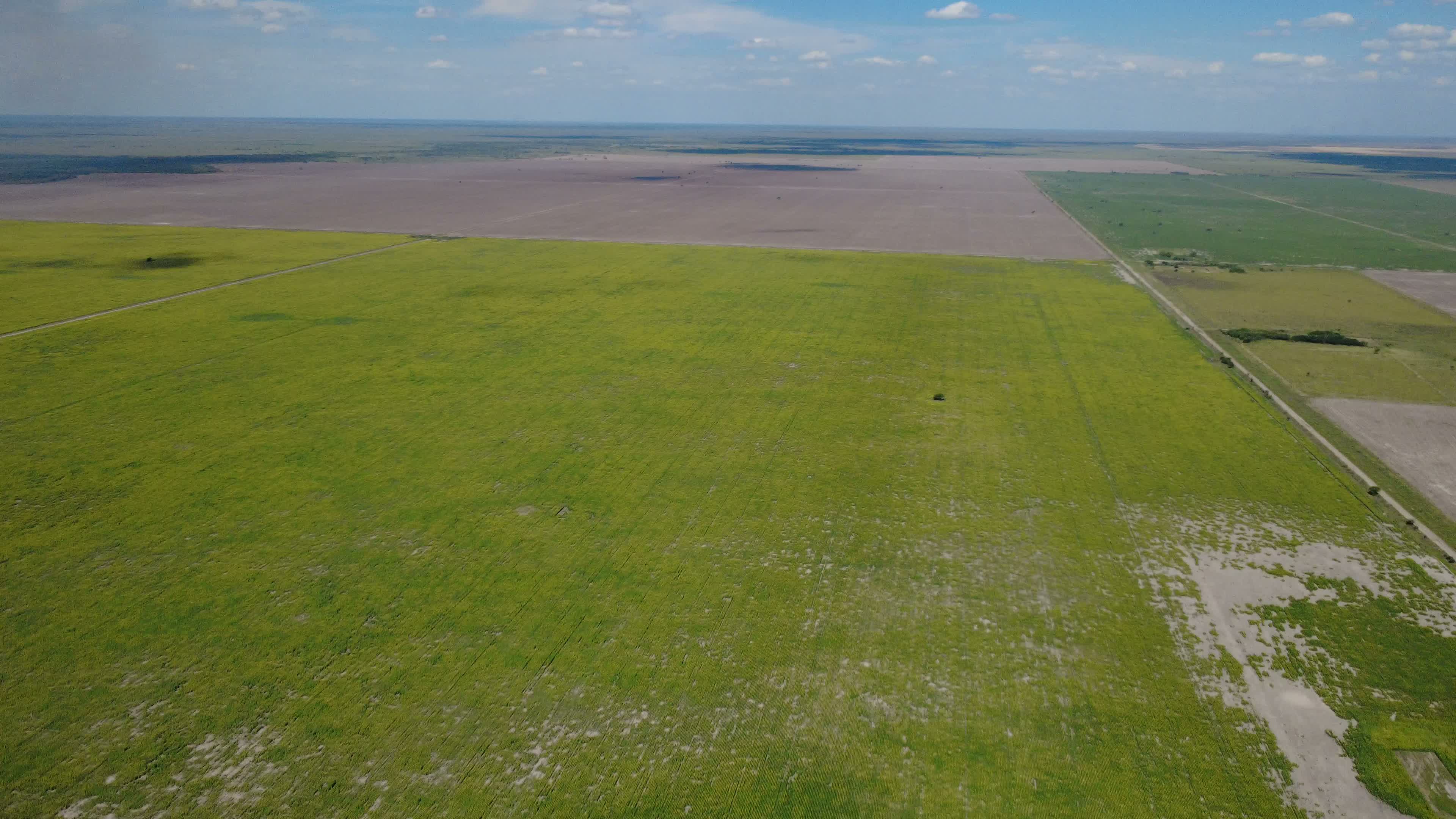 Registro aéreo del proyecto.