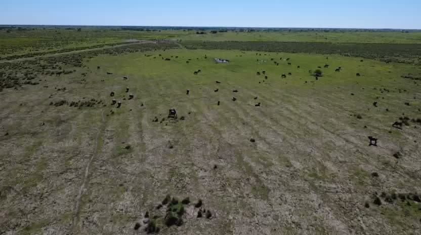 Registro aéreo del proyecto.