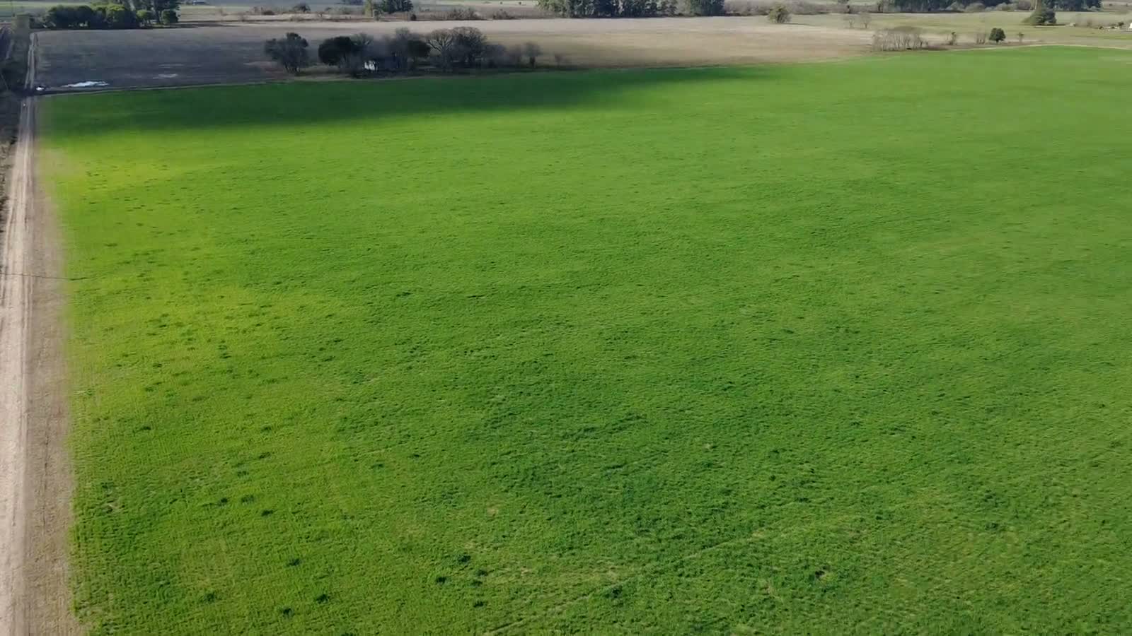 Registro aéreo del proyecto.