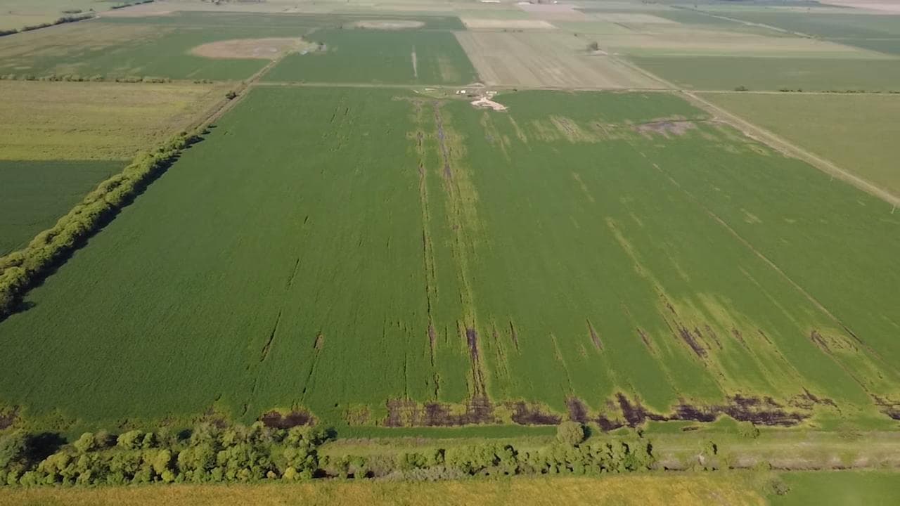 San Wendelino foto 2