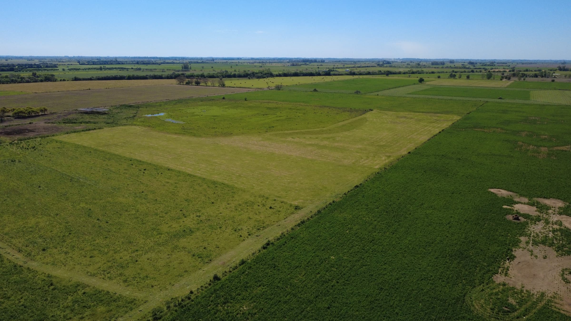 Tambo Oeste Esperanza foto 2