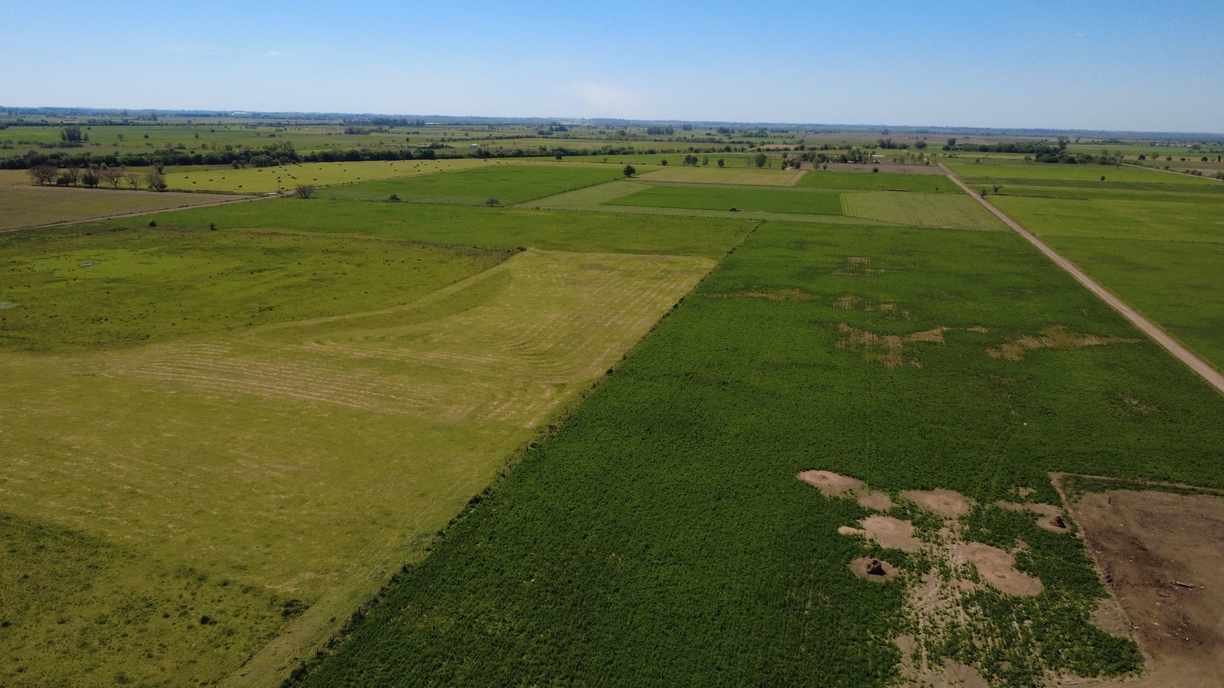 Tambo Oeste Esperanza foto 3